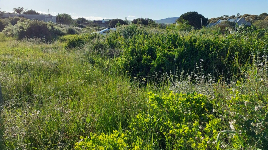 0 Bedroom Property for Sale in Darling Western Cape